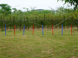 Dog Agility Training Equipment 10773071