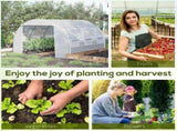 3 x 3 x 2 m Polytunnel Greenhouse with Roll-up Side Walls, Walk-in Grow House Tent with Steel Frame, T3398P318638