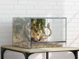 Terrarium with Storage Transparent 30 x 30 x 30 cm Glass 42020387
