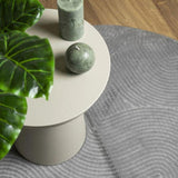 Rug IZA Short Pile Scandinavian Look Grey 160 cm 375460