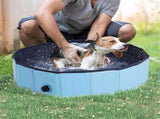 Dog Pool 64426313