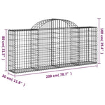Arched Gabion Baskets 12 pcs 200x30x80/100 cm Galvanised Iron 3146099