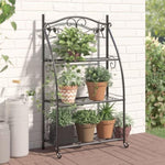 ZNTS Flower Rack Black 56x30x96 cm Steel 319353
