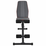 Weight Bench Manual Black 131 x 41 x 110 cm Steel 42007903