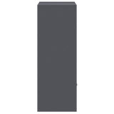 Parcel Drop Box with Storage Anthracite 41 x 38 x 103 cm Steel 874935