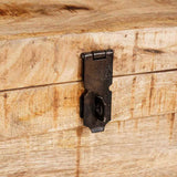 Storage Box with Storage with Door Brown Solid Mango Wood 4104569