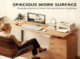 Computer Desk, Writing Desk with Cabinet, Drawer, Metal Legs, Work Table for Home Office Study, T3398P423539