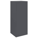 Parcel Drop Box with Storage Anthracite 41 x 38 x 103 cm Steel 874935