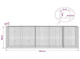 Gabion with 5 mm Wire and 5x5 cm Mesh 250x30x100 cm 3464159