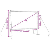 Projection Screen with Stands 108 Inch 169 4101051