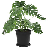 Plant Pots 24 pcs Black 17 x 14 cm Plastic 3403268
