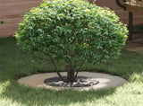 suitable for Flat Tree Ring Silver 30 / 60 cm Stainless steel 873670