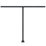 Awning Post Set Anthracite 300x245 cm Iron 315096