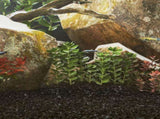 Aquarium Sand 25 kg Black 0.2-2 mm 3217157