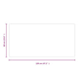 Fireplace Glass Plate Rectangular 120x60 cm 324126