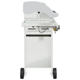 Gas BBQ Grill with 5 Burners Silver Stainless Steel 3214256