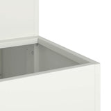 Garden Planter White 100 x 60 x 45 cm Cold-rolled Steel 865870