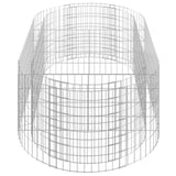 Gabion Raised Bed Galvanised Iron 200x100x50 cm 152040