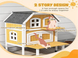Cat House 41783005