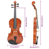Violin Full Set with Bow and Chin Rest Dark Wood 4/4 70142