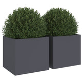 Planters 2 pcs Anthracite 32x30x29 cm Steel 841540