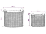 Planter Basket with Storage 2 pcs Natural Brown Kubu Rattan 42020952