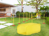 Dog agility training equipment 21596315