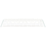 Greenhouse with Steel Frame White 40 m² 10x4x2 m 3188075
