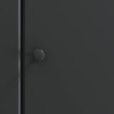 TV Cabinet Black 99 x 34.5 x 50 cm Engineered Wood 895636