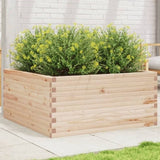 Garden Planter 100x100x46 cm Solid Wood Pine 3282429