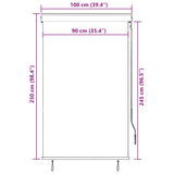 Outdoor Roller Blind 100x250 cm Anthracite 145958