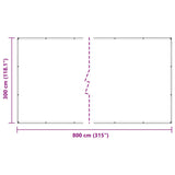 Clear Tarpaulin with Eyelets 3x8 m PVC 4018603