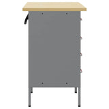 Work Cabinet with Drawer 2 pcs Red and Grey 100 x 55 x 85 cm 3321363