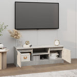 ZNTS TV Cabinet with Door Concrete Grey 102x30x36 cm 823354