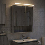 Bathroom Mirror Cabinet with Door Grey Sonoma 50 x 14.5 x 70 cm 889212