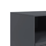 TV Cabinet Anthracite 99x39x44 cm Steel 841735