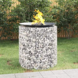 Gabion Fire Pit 100 cm Galvanised Iron 153561