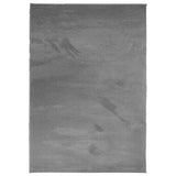 Rug OVIEDO Short Pile Anthracite 120x170 cm 375468