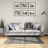 Rug HUARTE Short Pile Soft and Washable Anthracite 120x120 cm 374999