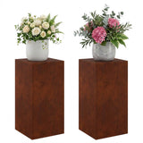 Plant Stand 2 pcs Rusty 30 x 30 x 60 cm Weathering Steel 8012487
