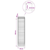 Gabion with 3.5 mm Wire and 10x10 cm Mesh 50x100x200 cm 3463435
