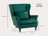 Modern Accent Chair, Upholstered Wingback Armchair with High Backrest and Pillow, Velvet-Feel Fabric T3398P377887