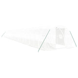 Greenhouse with Steel Frame White 66 m² 22x3x2 m 3188059