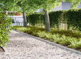 Lawn Edging 50 pcs Silver 100 x 0.05 x 15 cm Stainless Steel 865937