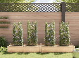 Tomato Cages 4 pcs 116 cm Steel and PP 3281483