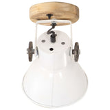 Industrial Wall/Ceiling Lamps 2 pcs White 20x25 cm E27 320519