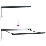 Retractable Awning Anthracite 300 x 250 cm Fabric and Metal 3329931