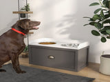 Elevated Dog Bowl 13586321