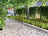 Lawn Edging 450 x 20 cm Galvanised Steel Silver 868030