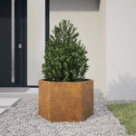 ZNTS Garden Planter Hexagon 69x60x45 cm Weathering Steel 851128